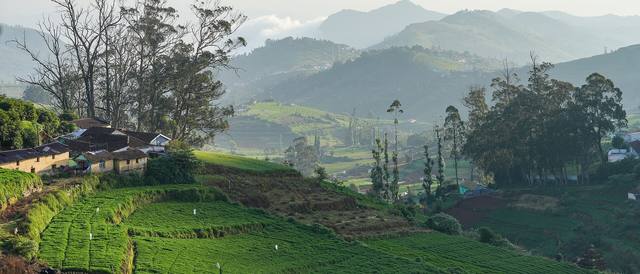Ooty, Tamil Nadu